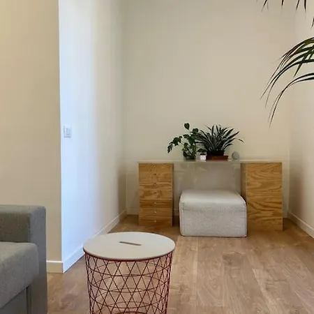 公寓 Cozy Apartment- 100 Meters From Vatican